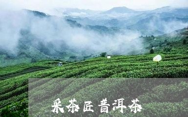 采茶匠普洱茶/2023042850853