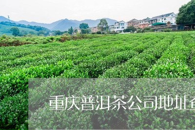 重庆普洱茶公司地址查询/2023112828283