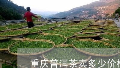 重庆普洱茶卖多少价格/2023111049593