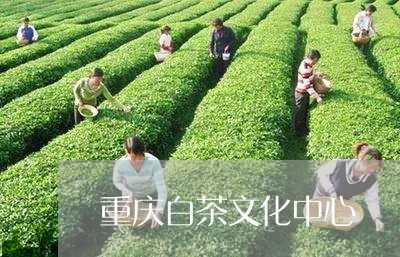 重庆白茶文化中心/2023071168270