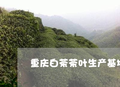 重庆白茶茶叶生产基地有哪些/2023111445240