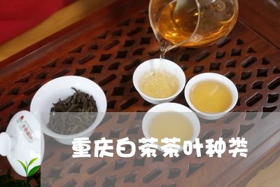 重庆白茶茶叶种类/2023071149472