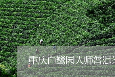 重庆白鹭园大师普洱茶/2023100680595