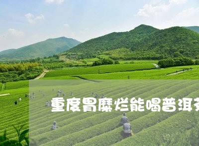 重度胃糜烂能喝普洱茶/2023092831706