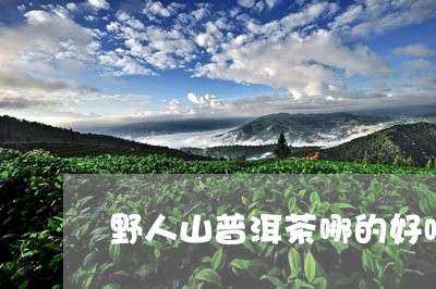 野人山普洱茶哪的好喝一点/2023112580695