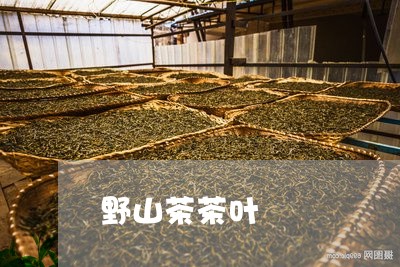 野山茶茶叶/2023041700073