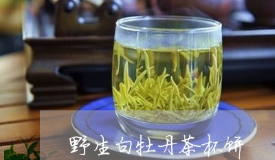 野生白牡丹茶杯饼/2023090672793