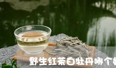 野生红茶白牡丹哪个好/2023120911017