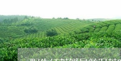 野生红茶饼是普洱茶吗/2023062285160