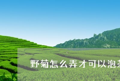 野菊怎么弄才可以泡茶/2023060827279