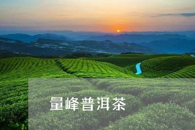 量峰普洱茶/2023090619683