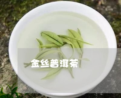 金丝普洱茶/2023090694926