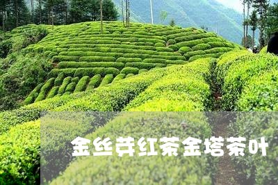 金丝芽红茶金塔茶叶/2023042583068