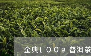 金典100g普洱茶饼/2023072313073