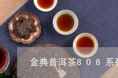 金典普洱茶808系列/2023080261816