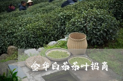 金华白茶茶叶招商/2023071221514