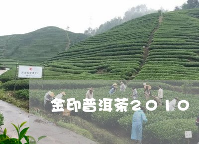 金印普洱茶2010/2023101672726