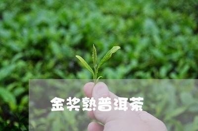 金奖熟普洱茶/2023042712285