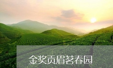 金奖贡眉茗春园/2023061147249