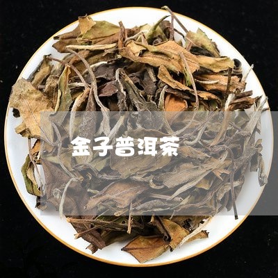 金子普洱茶/2023090596482