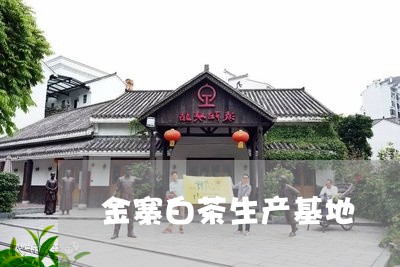 金寨白茶生产基地/2023071234647