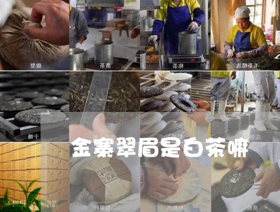 金寨翠眉是白茶嘛/2023071241717