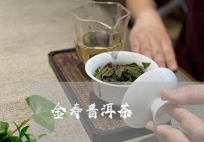 金寿普洱茶/2023090637150