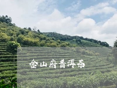 金山府普洱茶/2023042609647