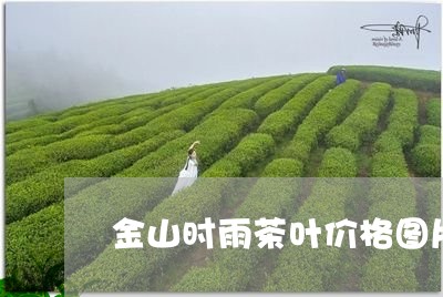 金山时雨茶叶价格图片/2023092295051