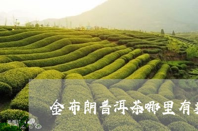 金布朗普洱茶哪里有卖/2023092947142