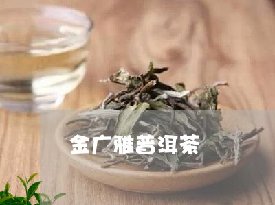 金广雅普洱茶/2023042996494