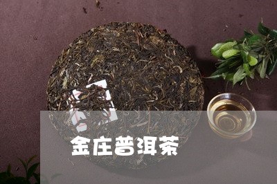 金庄普洱茶/2023112695931