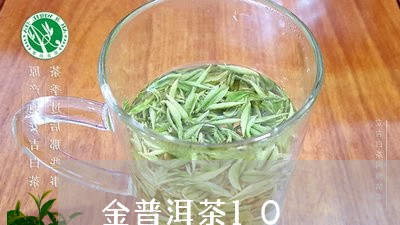 金普洱茶10/2023042765749