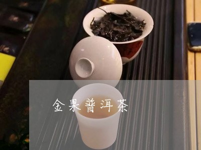 金果普洱茶/2023090576382