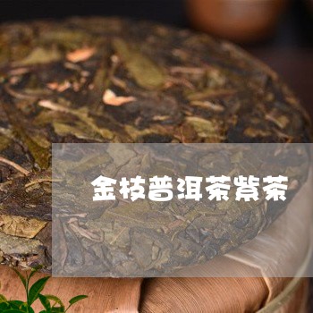 金枝普洱茶紫茶/2023110874848