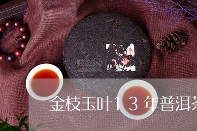 金枝玉叶13年普洱茶/2023072377281