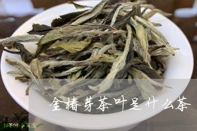 金椿芽茶叶是什么茶/2023042642826