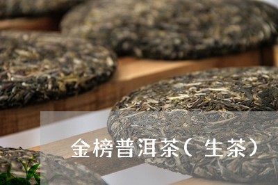 金榜普洱茶(生茶)/2023091510472