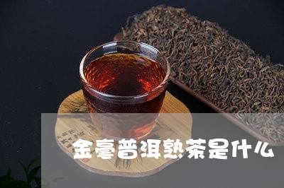 金毫普洱熟茶是什么/2023042761815