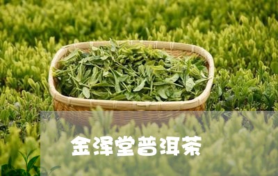 金泽堂普洱茶/2023042724033