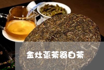 金灶蒸茶器白茶/2023061125148