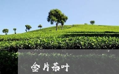 金片茶叶/2023121964949