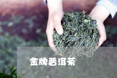 金牌普洱茶/2023090514158