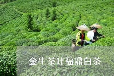 金牛茶叶福鼎白茶/2023112694260