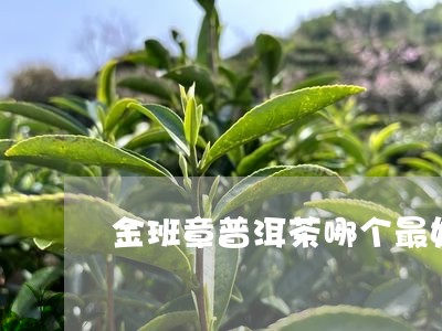 金班章普洱茶哪个最好/2023092848361