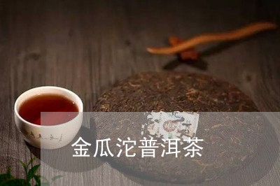 金瓜沱普洱茶/2023081812505