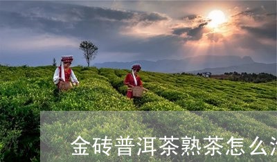 金砖普洱茶熟茶怎么泡/2023100753838