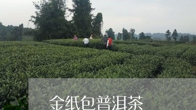 金纸包普洱茶/2023042669737