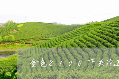 金色8100下关沱茶/2023092117581