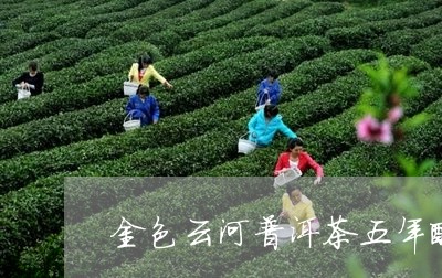 金色云河普洱茶五年醇/2023062497259